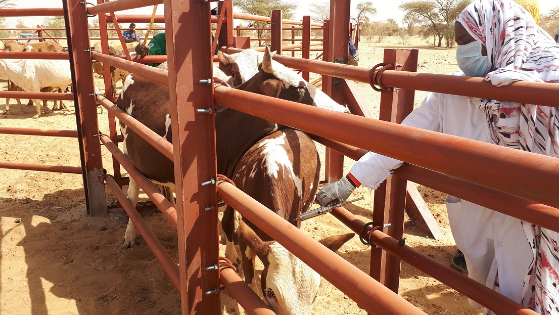 Article : Projet r&eacute;gional d&rsquo;appui au pastoralisme au Sahel (PRAPS), une bouff&eacute;e d&rsquo;oxyg&egrave;ne pour le monde rural en Mauritanie