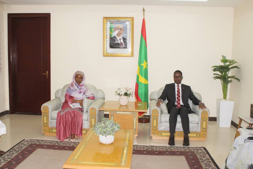 Article : Overview of Indian Dreaming Slot Play for Free online bonanza slot machine Ports