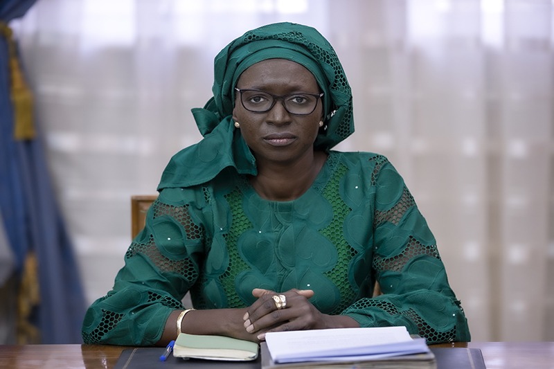 Article : Mauritanie : la nomination Lalya Camara, ministre de l’Emploi, mal vue