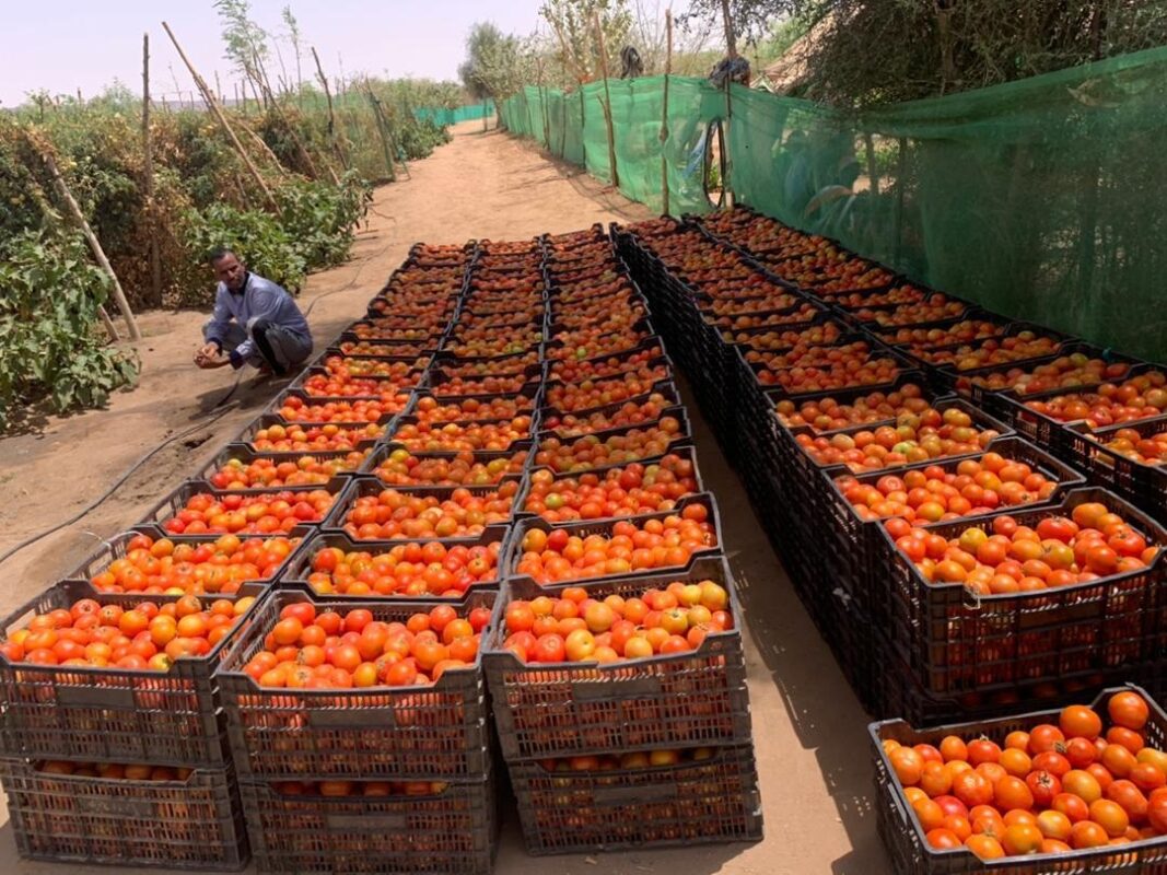 Article : Free Spins No what a hoot casino slot deposit cuatro,000+ Free Spins during the Online casinos