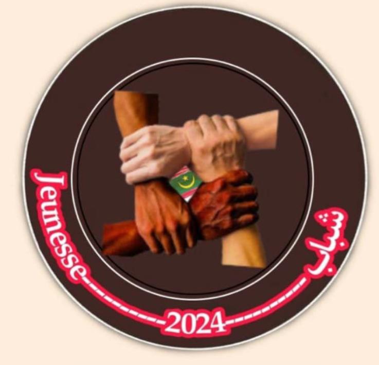 Article : « Jeunesse 2024 », du virtuel au contact physique sur l’initiative de Youpy, expatrié mauritanien aux USA