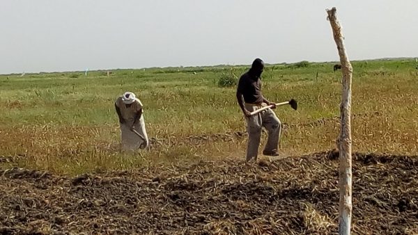 Article : L’esclavage agricole aux bords du Lac R’Kiz, en Mauritanie
