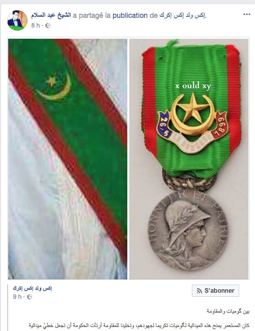 Article : Tout ça pour ça : le nouveau drapeau de résistant est une copie d&rsquo;une médaille de Spahi