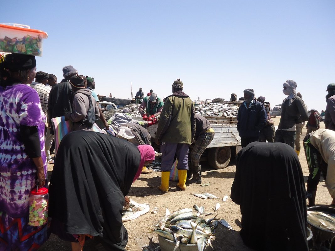 Article : Mettre les pêcheurs artisanaux mauritaniens aux normes du marché international