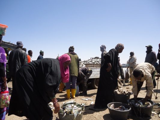 Article : Chaîne de valeur de la sardinelle : comment aller au-delà des milliers d’emplois créés en Mauritanie