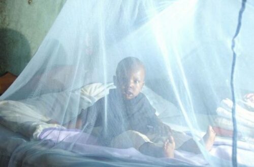 Article : Urgent OMVS : Après SSF le ministère de la santé tombera-il dans le piège de l’opacité dans la distribution des moustiquaires ?