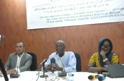 Article : ROSA et SUN-Mauritanie interpellent les Chefs d’Etat africains sur leurs engagements face à l’insécurité alimentaire