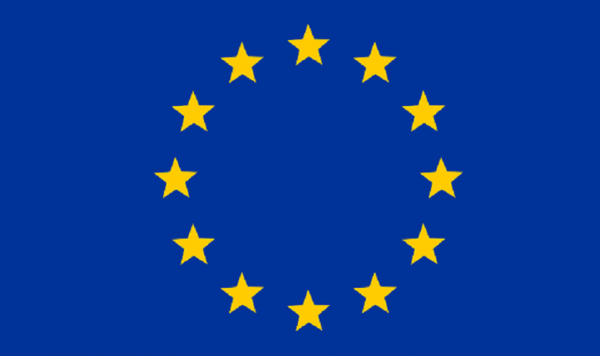 Article : Délégation de l’Union européenne : Déclaration locale sur les élections en Mauritanie.
