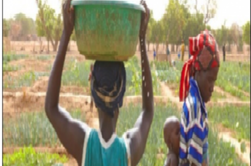 Article : Priorité à la résilience et au développement des communautés au Sahel