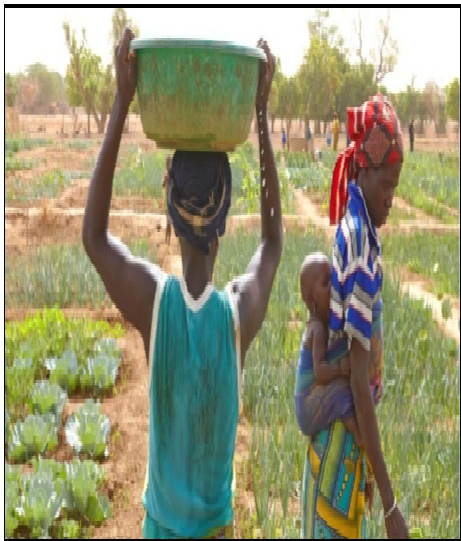 Article : Priorité à la résilience et au développement des communautés au Sahel