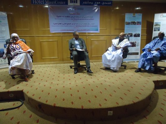 Article : Rôle de la Société civile dans l’emploi et l’entreprenariat des jeunes en Mauritanie