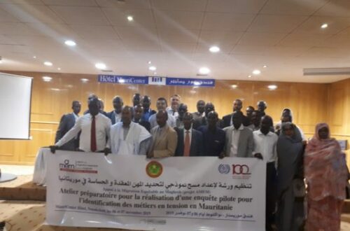 Article : Migration et emploi en Mauritanie, une enquête pilote pour mesurer les besoins en main d’œuvre