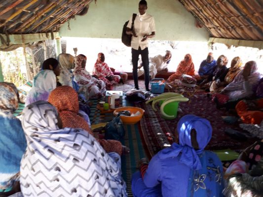 Article : Tekavoul, un programme qui change la vie de plus d’un millier de femmes à Sélibaby