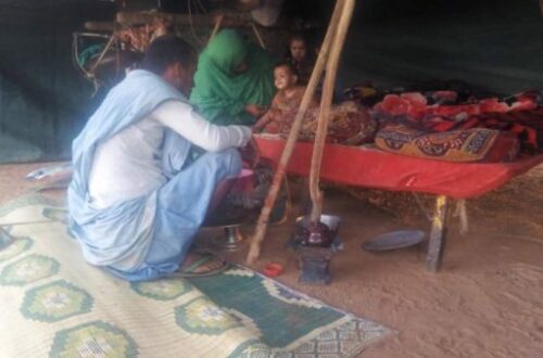 Article : Les pasteurs nomades, les ultimes gardiens de l’élevage mauritanien menacés de disparition