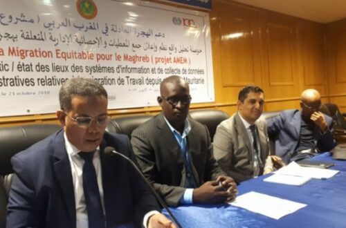 Article : La Mauritanie et les données sur la migration internationale du Travail