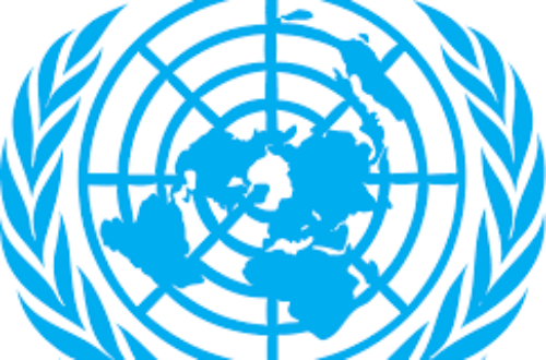 Article : L’ONU intensifie son soutien aux États Membres pour répondre à la pandémie de COVID-19 en Afrique de l’Ouest et du Centre