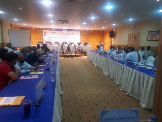 Article : Covid-19 en Mauritanie : une journée de débat pour l’action humanitaire et sociale