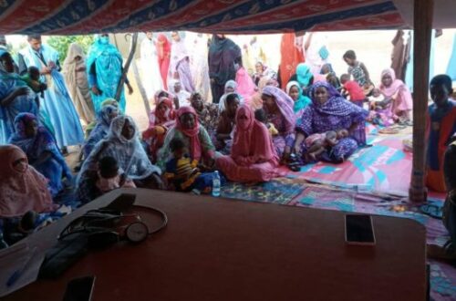 Article : Campagne nationale pour la planification familiale en Assaba, au sud de la Mauritanie : Barkéol, dernier bastion de résistance
