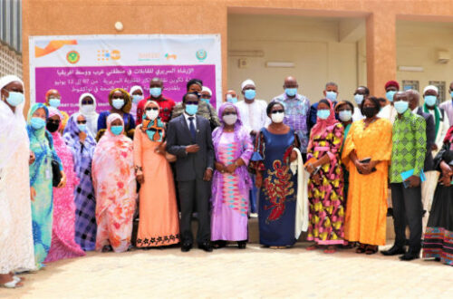 Article : Mentorat clinique des sages-femmes en Afrique de l’Ouest et du Centre, échanges et concertations à Nouakchott