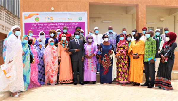 Article : Mentorat clinique des sages-femmes en Afrique de l’Ouest et du Centre, échanges et concertations à Nouakchott