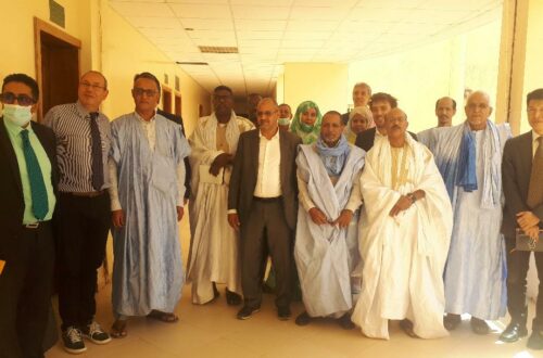 Article : Mauritanie : face au manque d’eau au Tagant, le Conseil Régional et la Région Auvergne-Rhône-Alpes de France volent au secours des populations