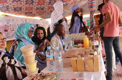 Article : Mauritanie : « Valoriser l’économie locale par l’autonomisation de la femme et le talent des jeunes »