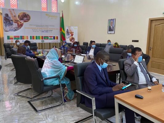 Article : Sixième session ordinaire du Comité Régional de Pilotage du projet d’Autonomisation des Femmes et Dividende Démographique au Sahel (SWEDD) : Communiqué de presse