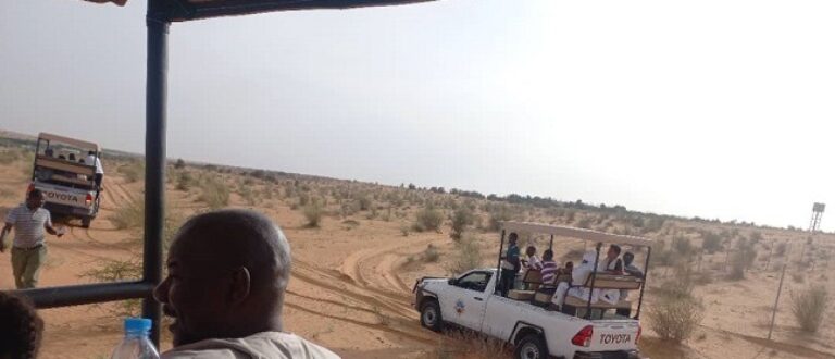 Article : Safari en Mauritanie, « Traversées Mauritanides » s’offre l’exclusivité du Parc d’Awleigatt