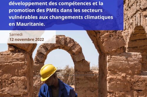 Article : COP 27, le Pavillon Mauritanie anime une conférence sur la durabilité et la transition juste en présence de la Ministre de l’Environnement