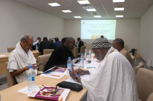 Article : Conférence internationale Population et Développement (CIPD) : où en sont la Mauritanie et ses engagements ?