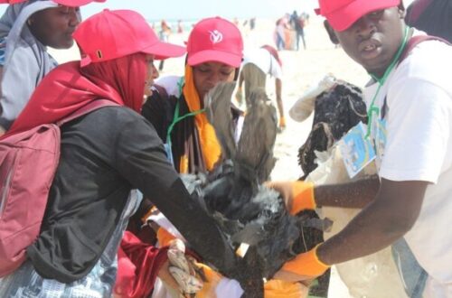 Article : Journée mondiale des Océans, l’ONG BiodiverCité et ses partenaires balaient la plage de Nouakchott et organisent un dîner-débat